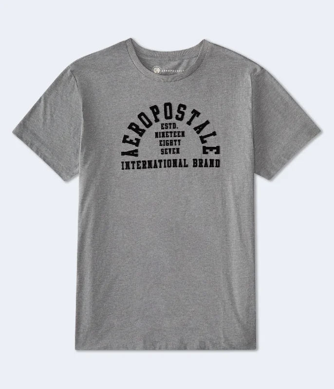 Aeropostale Arch Flocked Graphic Tee